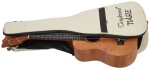 Tanglewood TWT 5