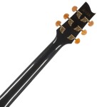 Ibanez EP5 Black Pearl