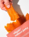 Vilgain Lososí jerky – 40 g