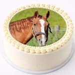 Obrázek Jedlý papír Kůň A