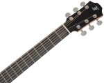 Furch Blue Plus D-SW CNR Active 2026