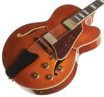 Ibanez AF95 Divine Amber