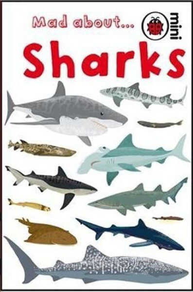 Mad About Sharks - Deborah Jane Murrell