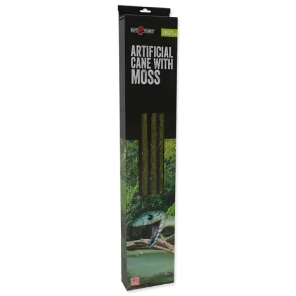 Repti Planet Dekorace liána s mechem šířka 2cm délka 200cm (007-53723)
