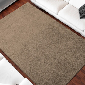 DumDekorace DumDekorace Jednobarevný koberec béžové barvy