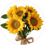 Obrázek Jedlý papír na dort Slunečnice