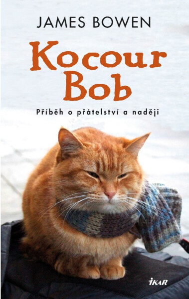 Kocour Bob - James Bowen
