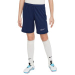 Šortky Nike Dri Fit Academy 25 Jr FZ9784 410 s
