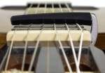 D'Addario PW-CP-19S