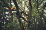 Aku řetězová pila STIHL MSA 190 T