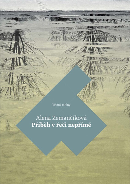 Příběh v řeči nepřímé - Alena Zemančíková
