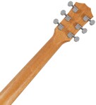 Taylor GS Mini-e LE Paisley Burst