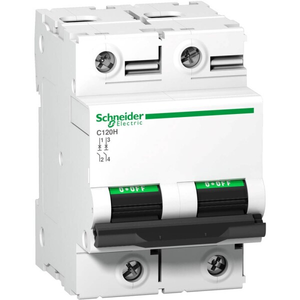 Schneider Electric A9N18412 A9N18412 elektrický jistič 63 A 250 V/DC