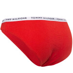 Tommy Hilfiger 3Pack tanga kalhotky UW0UW028280R2 Brown/Red/Ecru S