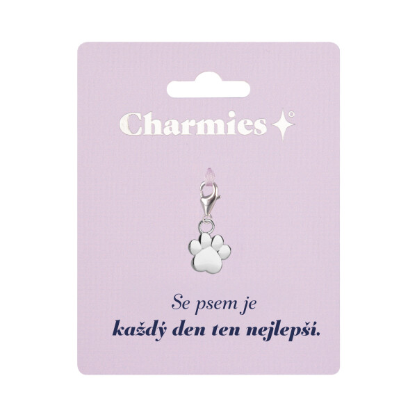 Stříbrný přívěsek tlapky - Se psem - Albi