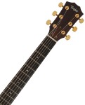 Taylor Legacy 514ce