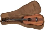Taylor BTe-Koa