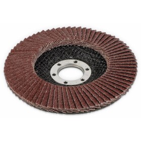Kotouč lamelový DL 180 A/080 - ocel GRINDING Doprodej