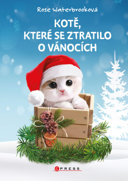 Kotě, které se ztratilo o Vánocích - Rose Waterbrooková