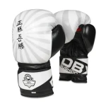 DBX BUSHIDO B-2v8 Boxerské rukavice (5902539014396)