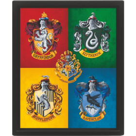 Harry Potter Obraz 3D - barevný - EPEE Merch -Pyramid