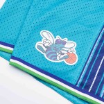 Mitchell & Ness Pánské kraťasy Charlotte Hornets NBA 1999-00 Swingman Shorts Velikost: S