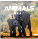 Kalendář 2027 poznámkový: Divoká zvířata, 30 x 30 cm