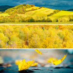 Nástěnný poznámkový kalendář 2026 NOTIQUE - Paleta, 30 x 30 cm - BEZ ČEŠTINY