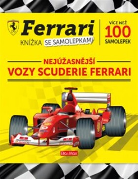 Ferrari vozy kolektiv autorů
