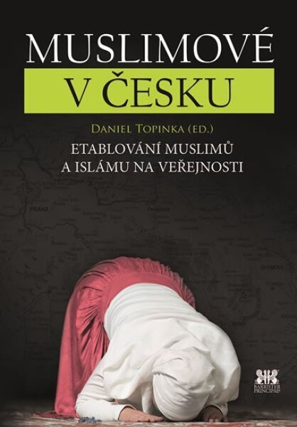 Muslimové Česku