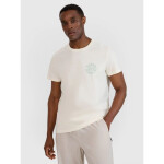 Pánské tričko s potiskem 4F 4FWSS25TTSHM1980-11S XL