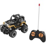 Amewi Crazy Crawler 1:10 RC model auta elektrický, Crawler, 4WD (4x4), vč. akumulátorů, nabíječky a baterie ovladače, 22