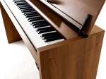 Korg Poetry Magnifique