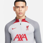 Pánská mikina Liverpool FC DR4622 015 Nike