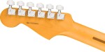 Fender American Professional Stratocaster RW 3TS
