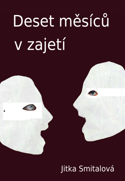 Deset měsíců v zajetí - Jitka Smitalová