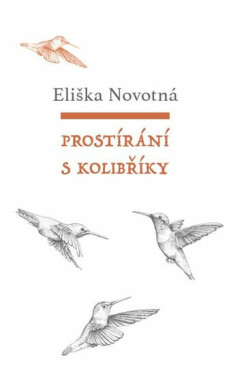 Prostírání s kolibříky (poškozená) - Eliška Novotná