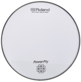 Roland Mesh Head 10"