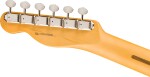 Fender American Professional Classic Telecaster MN Faded Lake Placid B