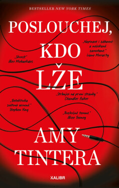 Poslouchej, kdo lže - Amy Tintera