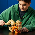 LEGO LEGO® Pokémon™ 72160 Arcanine