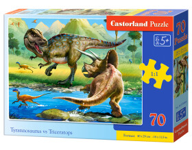 Puzzle Castorland 70 dílků premium