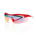 Sluneční brýle Goggle E690-3 UNI