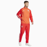 Adidas FC Bayern Pre Jacket IN6314 pánské