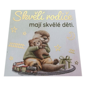 Magnetka s ražbou