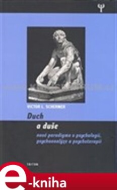 Duch a duše. Nové paradigma v psychologii, psychoanalýze - Victor L. Schermer e-kniha