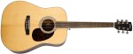 Cort Earth 100 NS