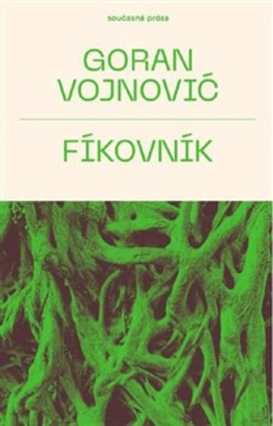 Fíkovník - Goran Vojnovič