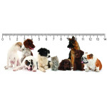 Pravítko 3D Oops! Deep