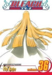 Bleach 36 (anglicky) - Noriaki Kubo